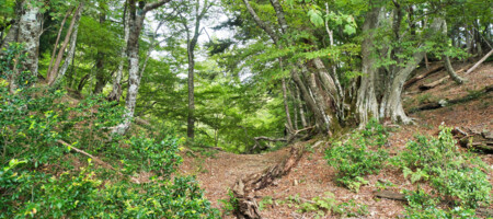 卒塔婆峠 Sotoba-touge