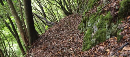 唐戸越のユリ道（仮称）Traverse above the Karato Ravine