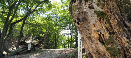 根来坂 Negori-zaka