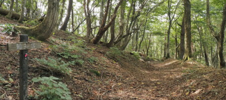 知井坂 Chii-saka Pass