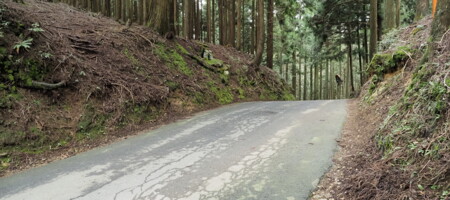百井峠 Momoi-touge