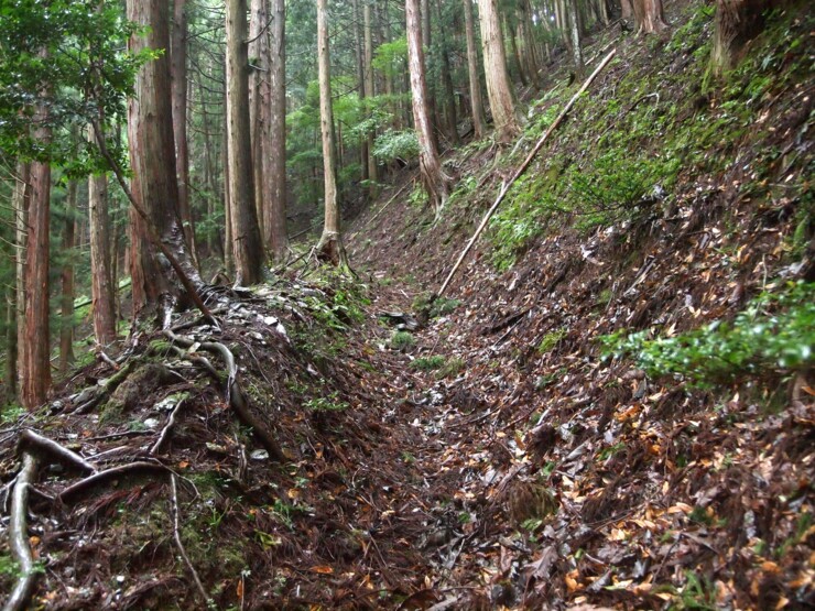 斜面をあがっていく道