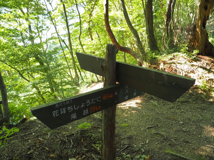俵坂