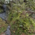 荊城山薬師寺跡（推定・綾部・武吉）