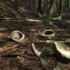 宝尾と摩野尾山一乗寺