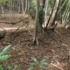 宝尾と摩野尾山一乗寺［03］