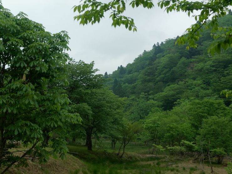 長治谷小屋付近